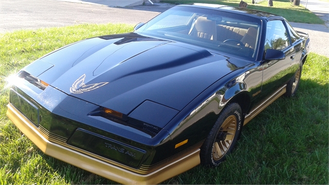 1984 Pontiac Trans Am TIME CAPSULE